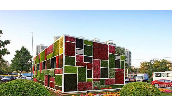五色草立體綠化墻工程實景圖