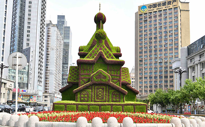 五色草節(jié)日造型養(yǎng)護流程與自動灌溉系統(tǒng)配置圖解