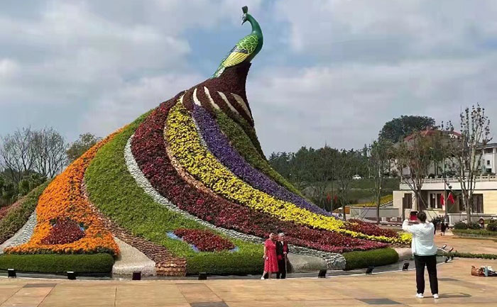 城市公園五色草立體景觀實(shí)景圖