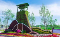 五色草種苗主造景方案與創(chuàng)新應(yīng)用實例