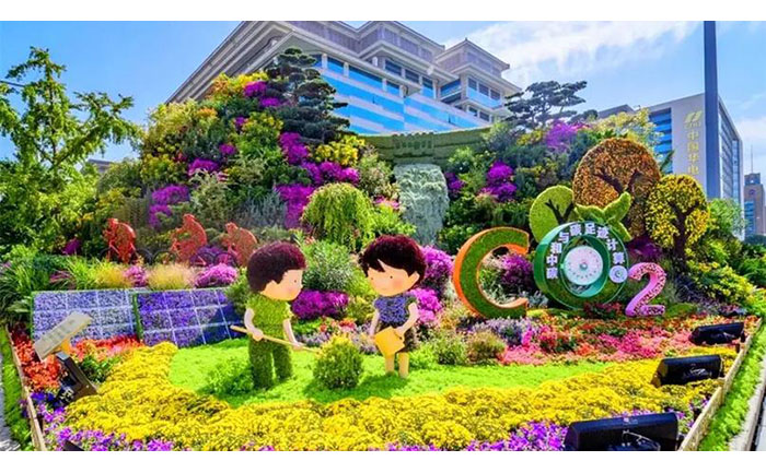 五色草種苗修剪塑形操作示范