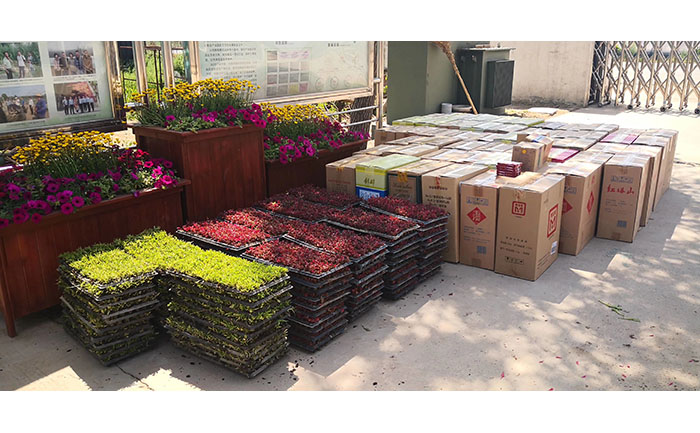 花不同園藝病蟲害智能監(jiān)測設(shè)備應(yīng)用場景與數(shù)據(jù)看板