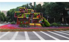 立體綠雕金葉佛甲草苗｜專業(yè)種苗供應(yīng)